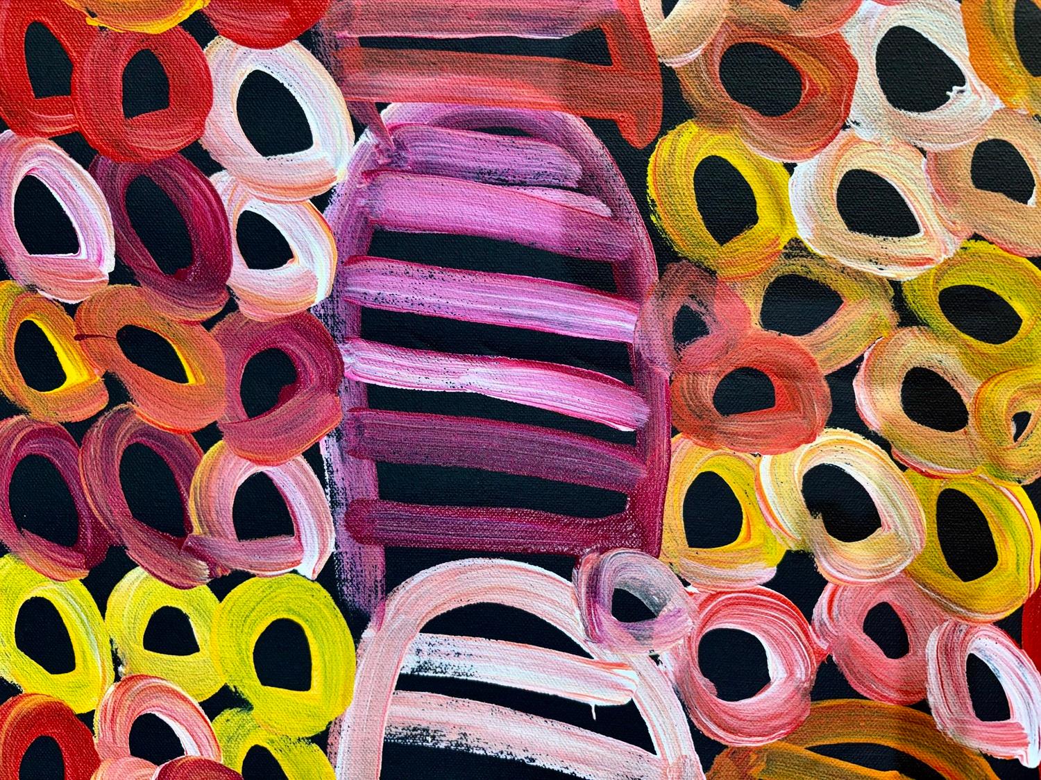 Bush Melon Dreaming, image 4