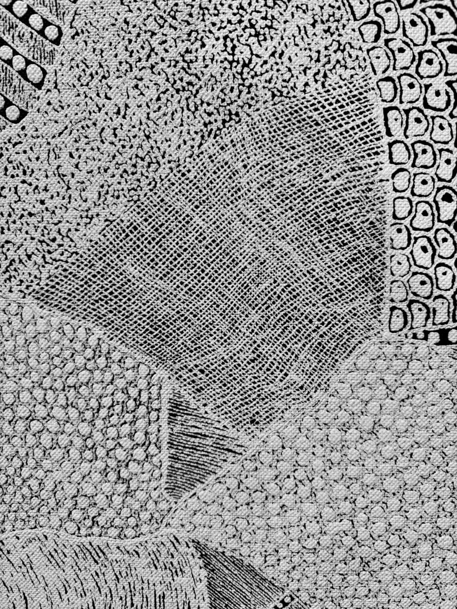 Fishnet, image 2