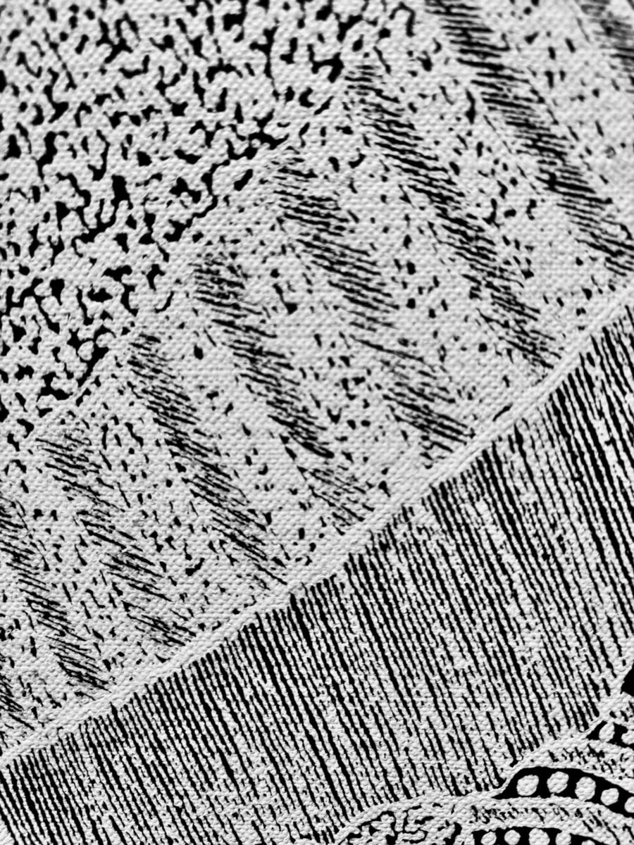 Fishnet, image 3