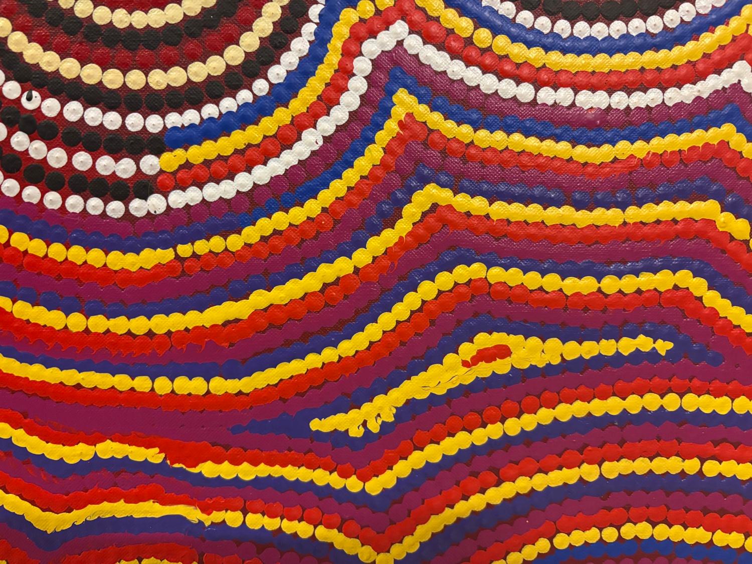 Pikilyi Jukumpa (Vaughan Springs Dreaming), image 3