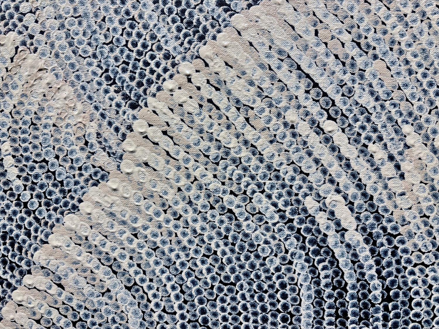 Tali (Sandhills), image 5