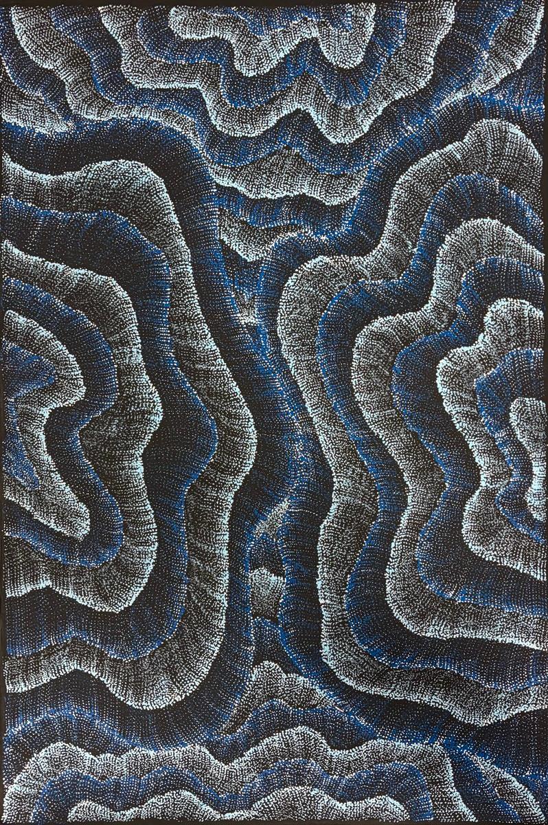 Wanakiji Jukurrpa