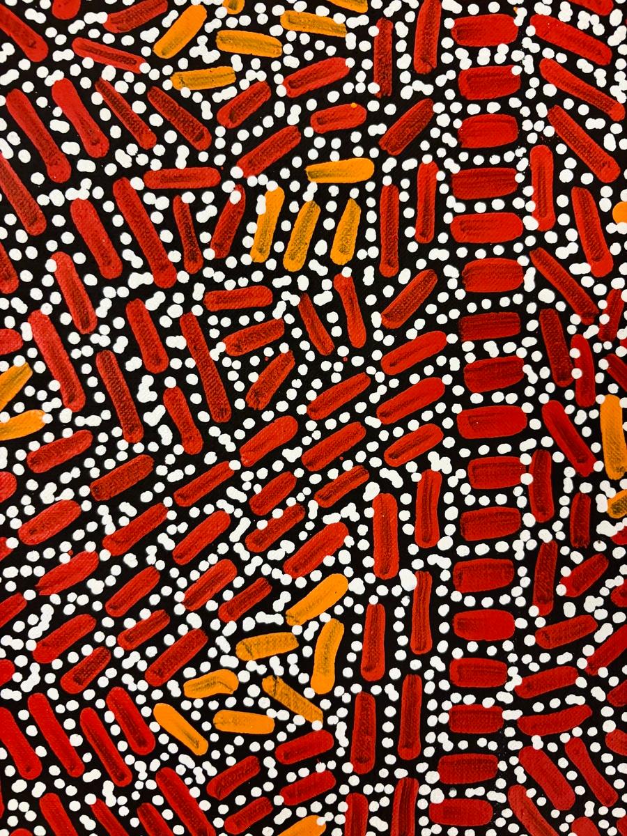 Warlukuriangu Jukurrpa, image 4